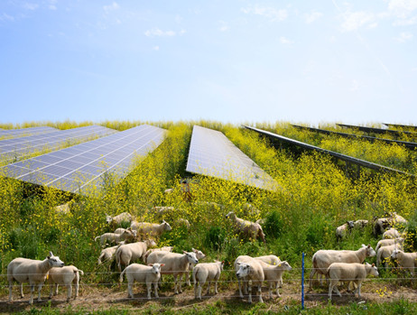 Jak gospodarstwa rolne korzystają z energii słonecznej?