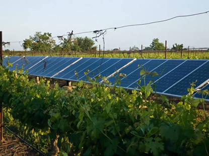 Solar dla winnic i winnic